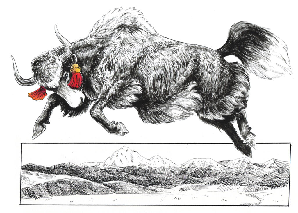 Leaping Yak, 8x10" ink drawing, $120